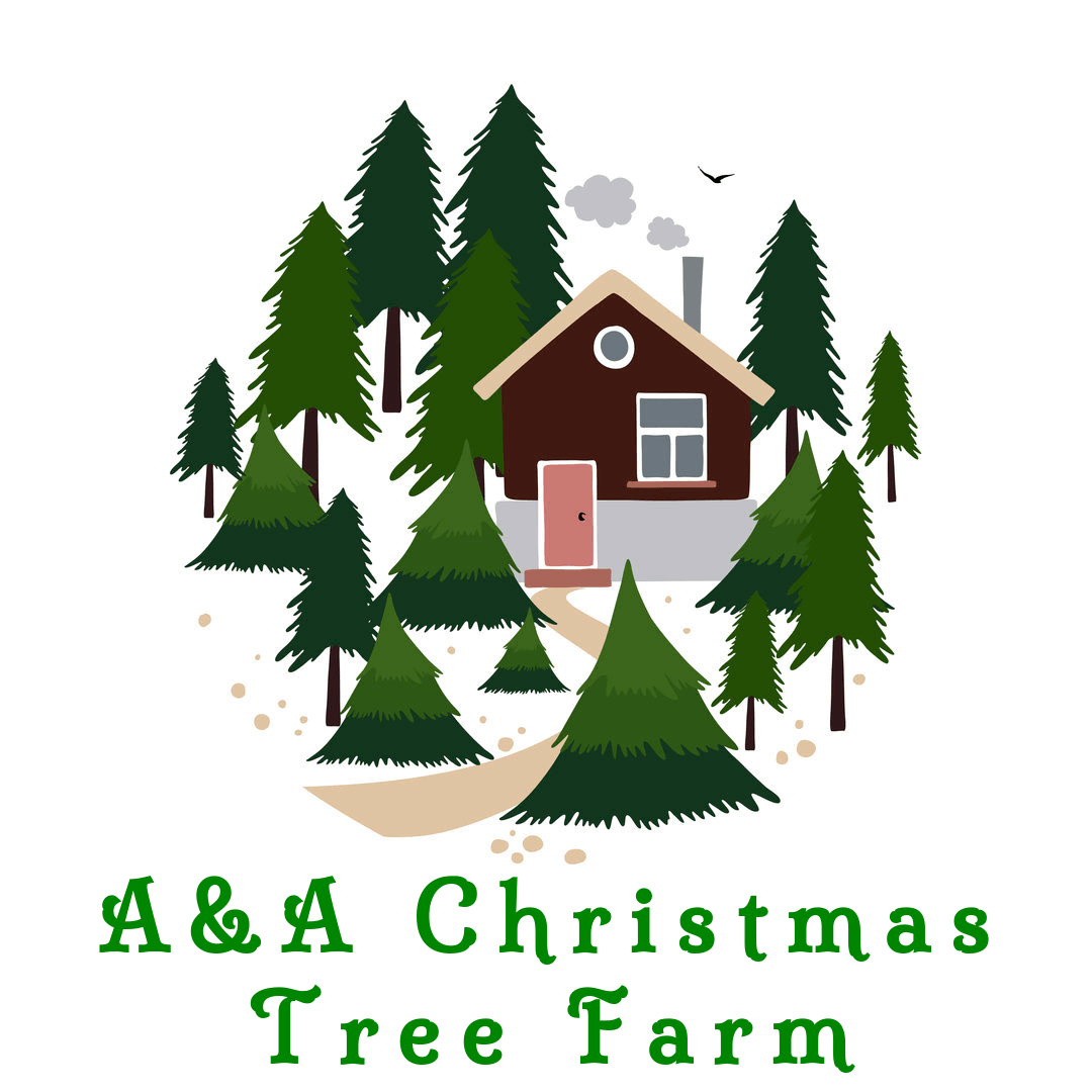 aaa christmas tree farm photo albums fabulous homes aaa christmas tree farm photo albums fabulous homes